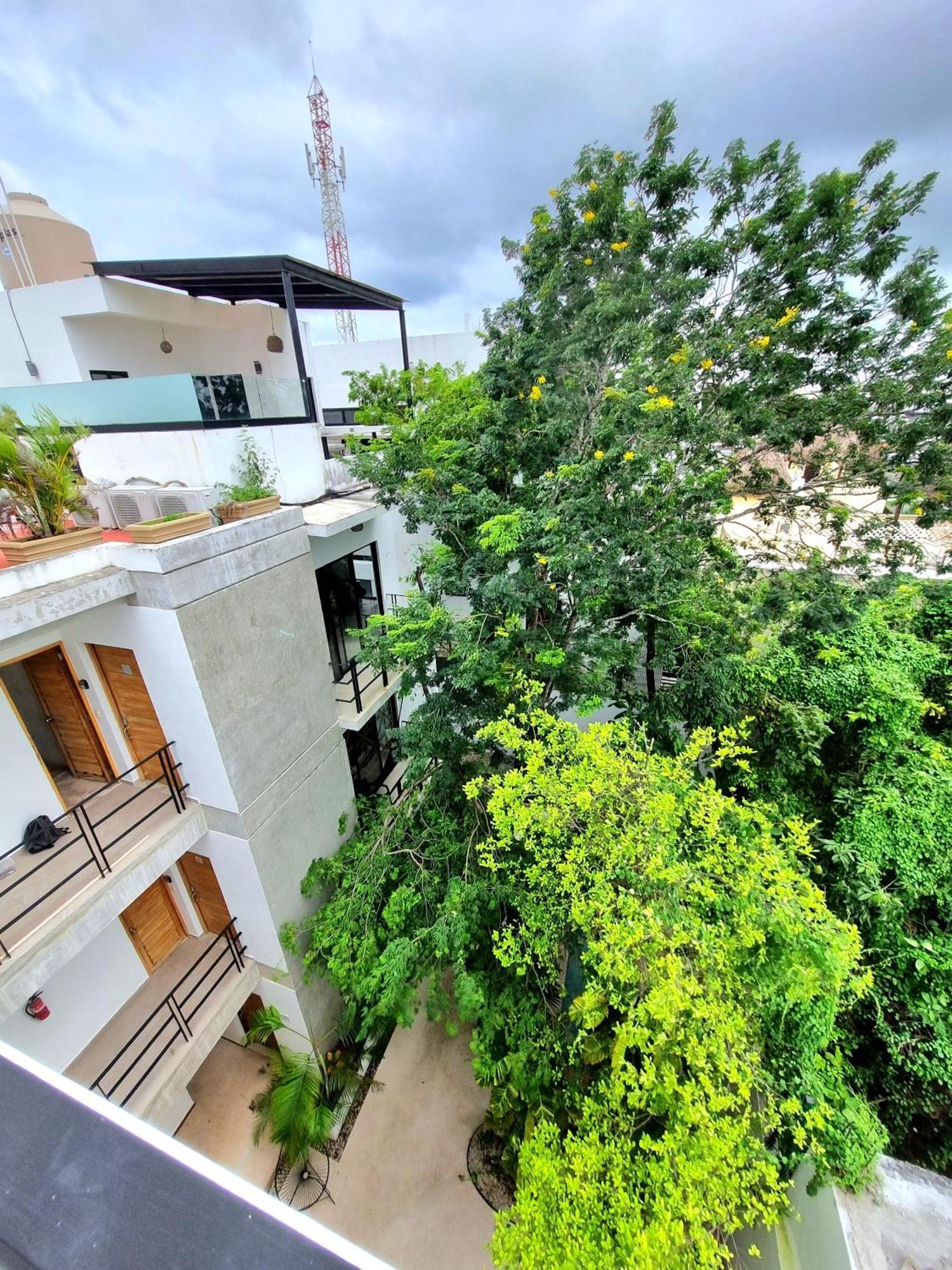 Aparthotel Mi Tulum Pokoj fotografie
